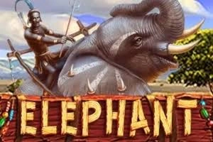 ELEPHANT - QUEENBET138